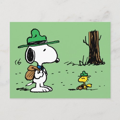Peanuts  Snoopy  Woodstock Camping Postcard