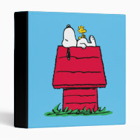 Peanuts | Snoopy & Woodstock Doghouse