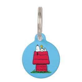 Peanuts Snoopy & Woodstock Doghouse Pet ID Tag