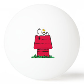 Peanuts | Snoopy & Woodstock Doghouse Ping Pong Ball