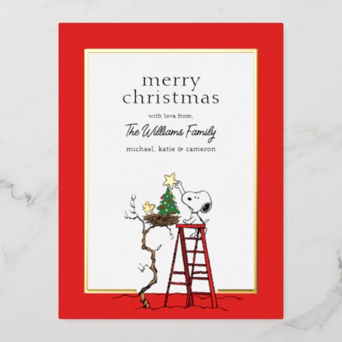 Peanuts  Snoopy  Woodstock Family Photo Foil Holiday Postcard