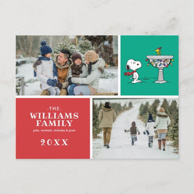 Peanuts | Snoopy & Woodstock Frozen Birdbath Holiday Postcard (Front)