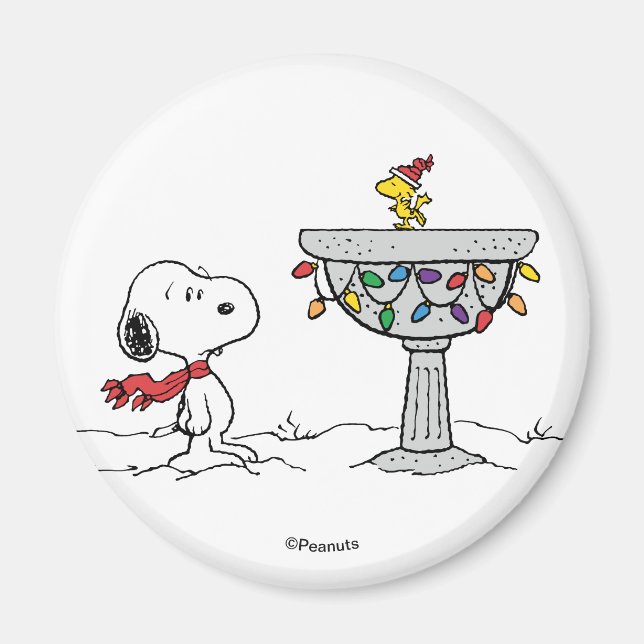 Peanuts | Snoopy & Woodstock Frozen Birdbath Magnet (Front)