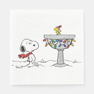 Peanuts | Snoopy & Woodstock Frozen Birdbath Napkins