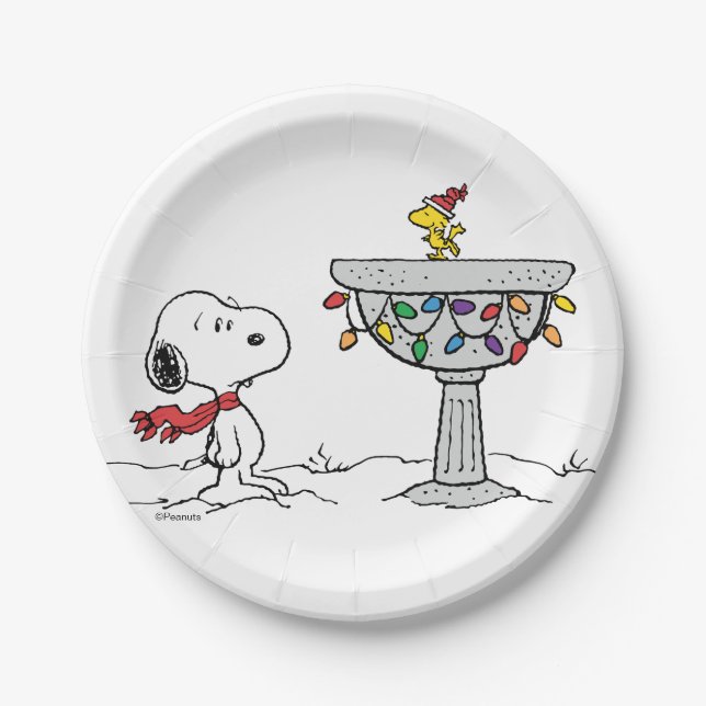 Peanuts | Snoopy & Woodstock Frozen Birdbath Paper Plates (Front)