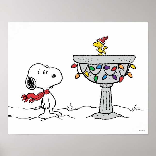 Peanuts | Snoopy & Woodstock Frozen Birdbath Poster (Front)