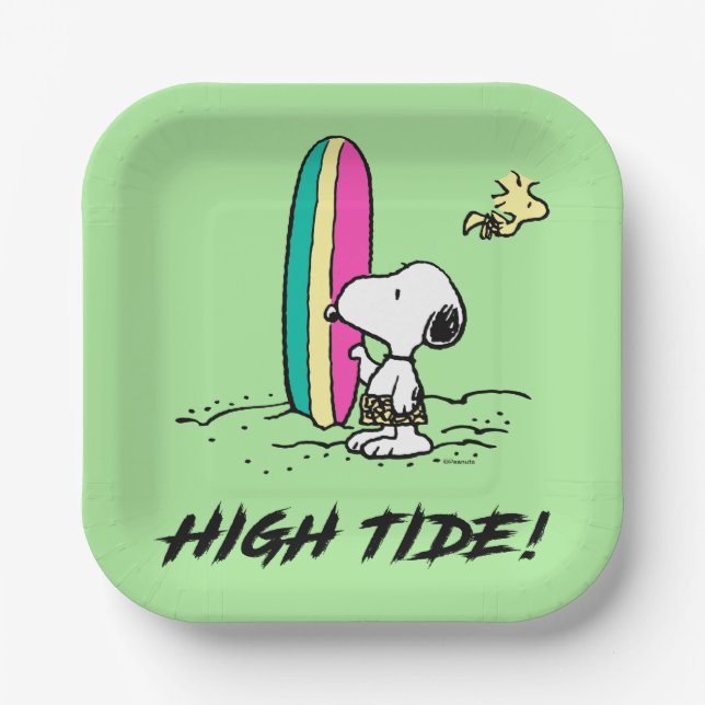 Peanuts | Snoopy & Woodstock High Tide Paper Plates (Front)