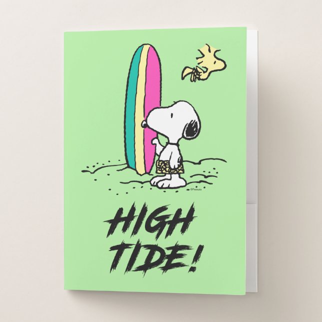 Peanuts | Snoopy & Woodstock High Tide Pocket Folder (Front)