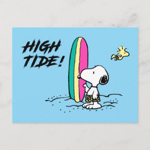 Peanuts Snoopy & Woodstock High Tide Postcard