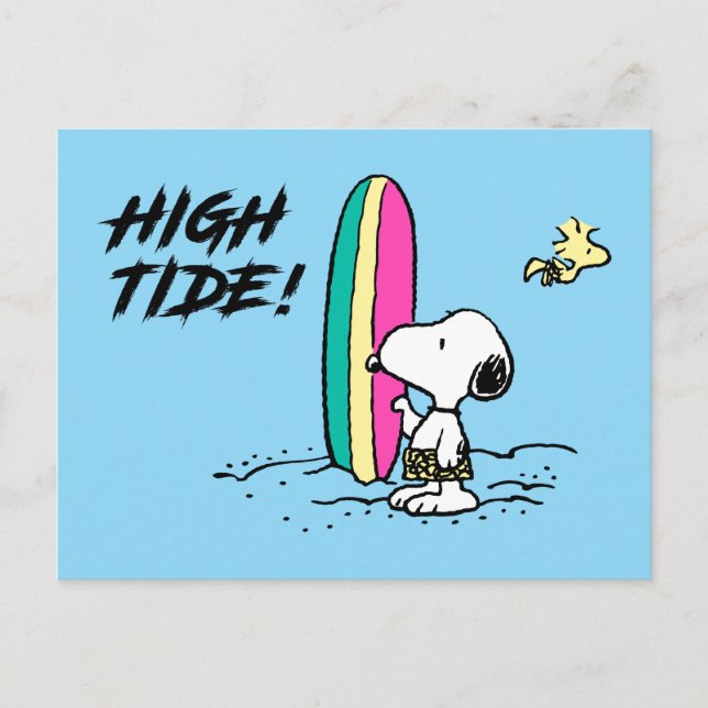 Peanuts | Snoopy & Woodstock High Tide Postcard (Front)