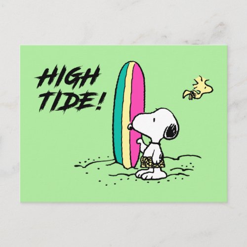 Peanuts  Snoopy  Woodstock High Tide Postcard