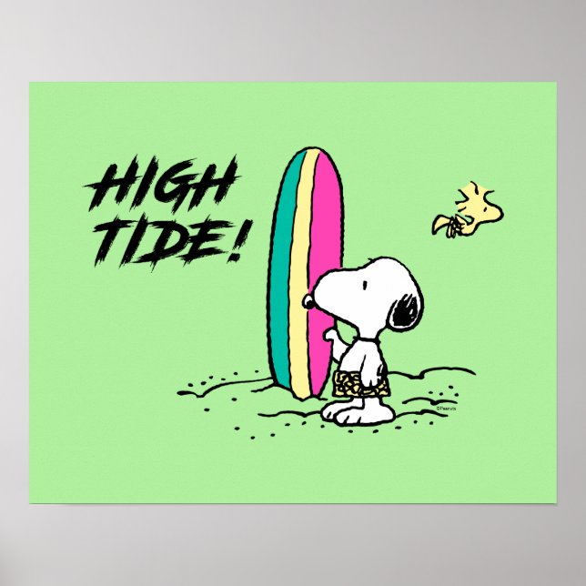 Peanuts | Snoopy & Woodstock High Tide Poster (Front)