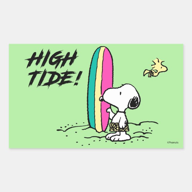 Peanuts | Snoopy & Woodstock High Tide Rectangular Sticker (Front)