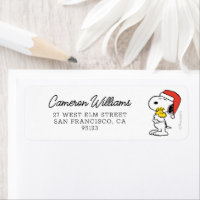 Peanuts | Snoopy & Woodstock Holiday Hugs