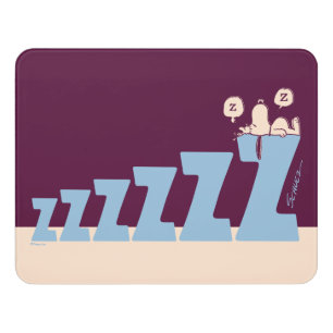 Peanuts   Snoopy & Woodstock Nap Door Sign