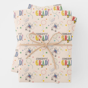 Peanuts Snoopy Woodstock PhotoPop Graduation Wrapping Paper Sheets