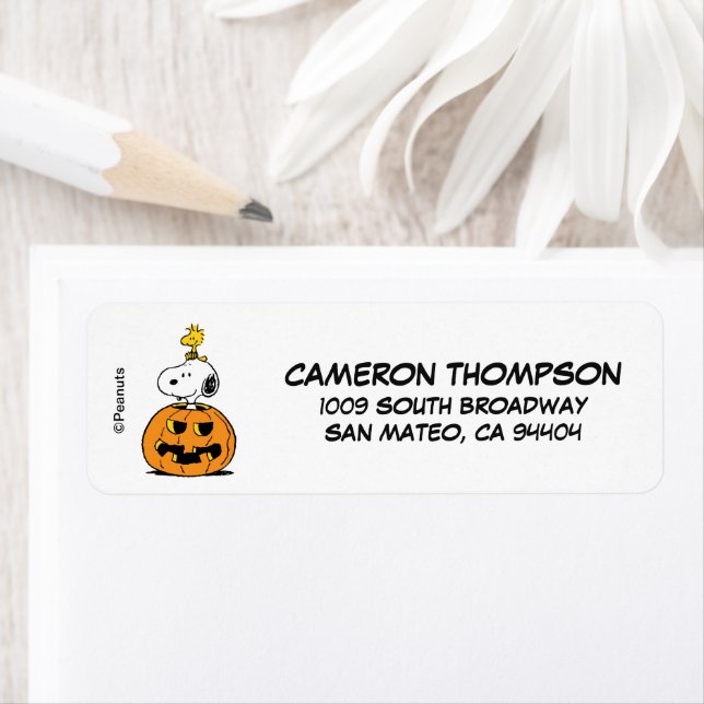 Peanuts | Snoopy & Woodstock Pop-up Pumpkin Label (Insitu)