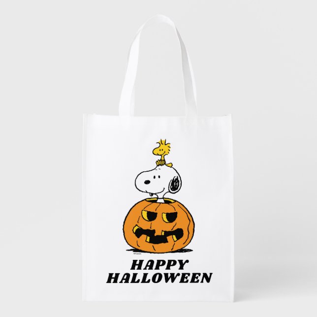 Peanuts | Snoopy & Woodstock Pumpkin Candy Bag (Front)