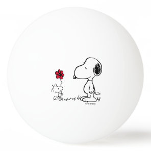 Peanuts | Snoopy & Woodstock Red & Black Ping Pong Ball