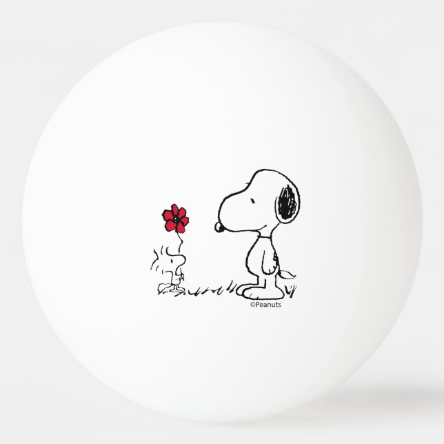 Peanuts | Snoopy & Woodstock Red & Black Ping Pong Ball (Front)