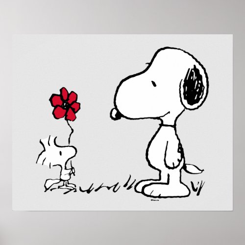 Peanuts  Snoopy  Woodstock Red  Black Poster