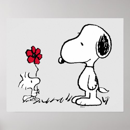 Peanuts  Snoopy  Woodstock Red  Black Poster