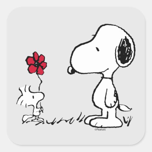 Peanuts  Snoopy  Woodstock Red  Black Square Sticker