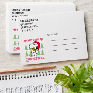 Peanuts   Snoopy & Woodstock Santa Claus Hug Envelope