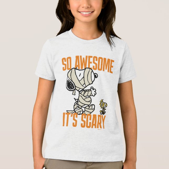 Peanuts | Snoopy & Woodstock So Awesome It's Scary Tri-Blend Shirt (Front)