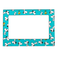 Peanuts | Snoopy & Woodstock Sunglasses Pattern