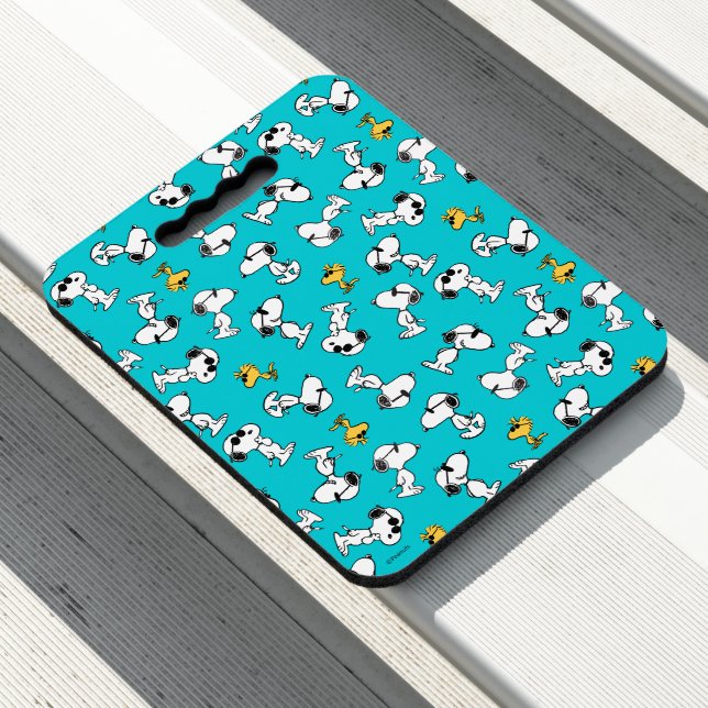 Peanuts | Snoopy & Woodstock Sunglasses Pattern Seat Cushion (In Situ)
