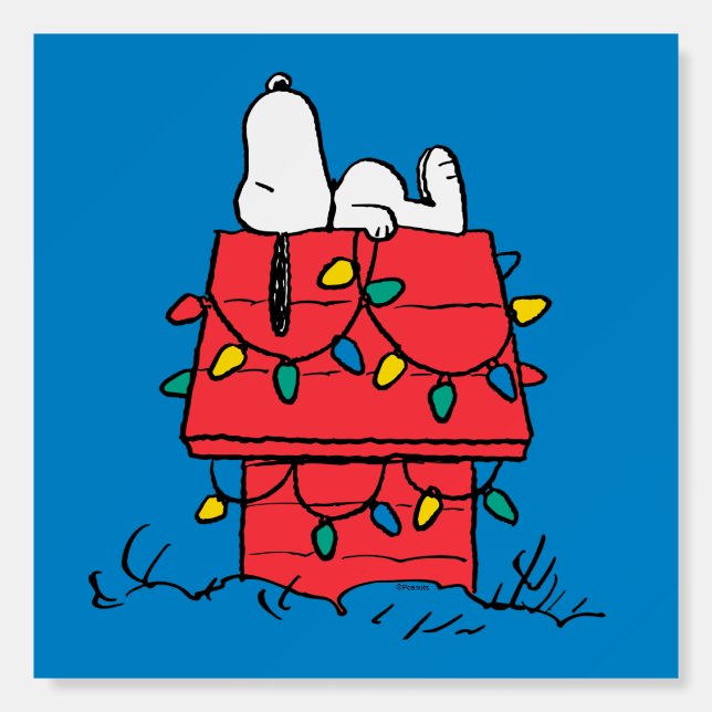 Peanuts | Snoopy's Dog House With Lights Foam Board (Front)