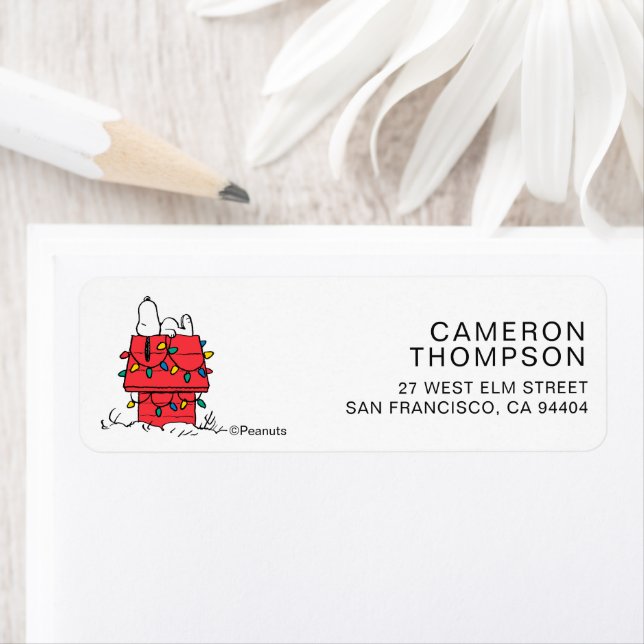 Peanuts | Snoopy's Dog House With Lights Label (Insitu)