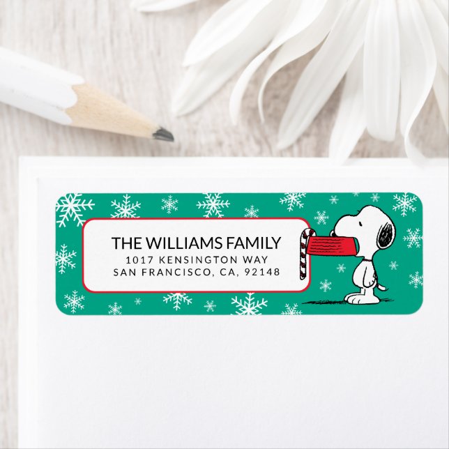 Peanuts | Snoopy's Doghouse With Lights Label (Insitu)