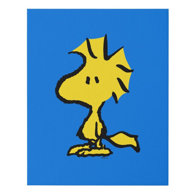 Peanuts | Snoopy's Friend Woodstock Faux Canvas Print (Front)