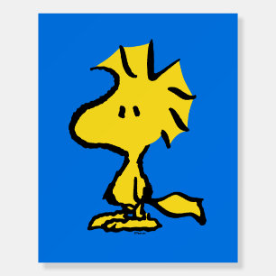 Peanuts   Snoopy's Friend Woodstock Foam Board