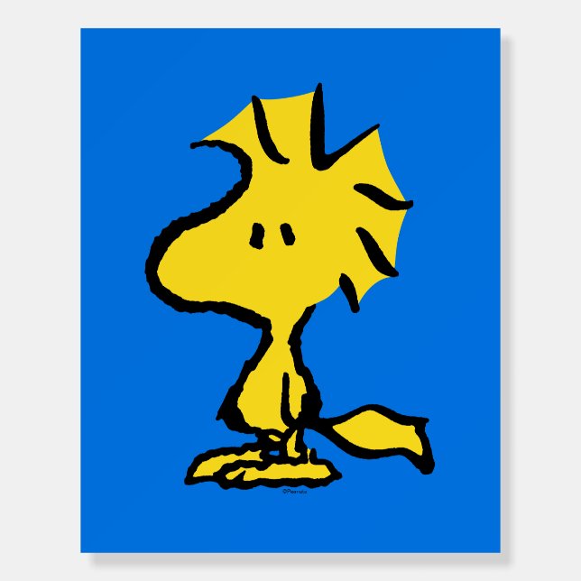 Peanuts | Snoopy's Friend Woodstock Foam Board (Front)