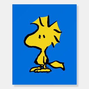 Peanuts Snoopy's Friend Woodstock Foam Board