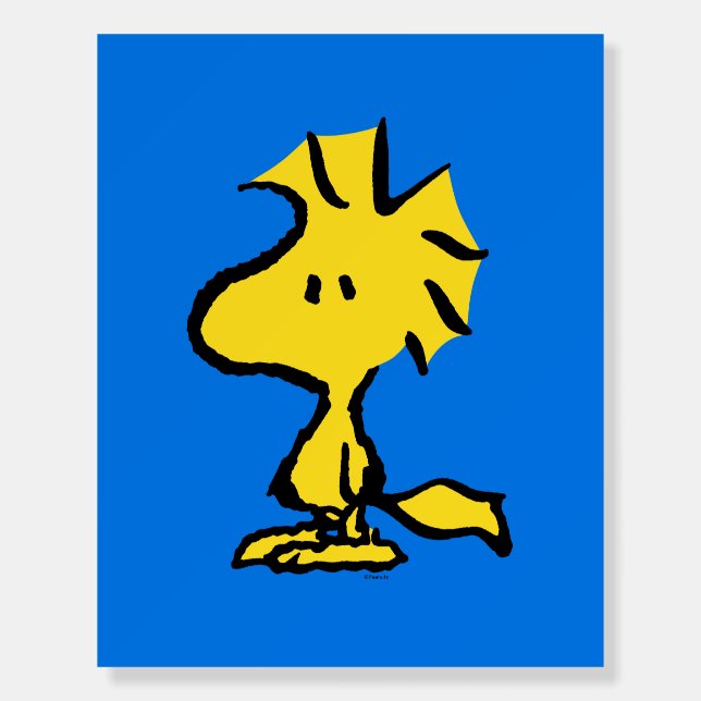 Peanuts | Snoopy's Friend Woodstock Foam Board (Front)