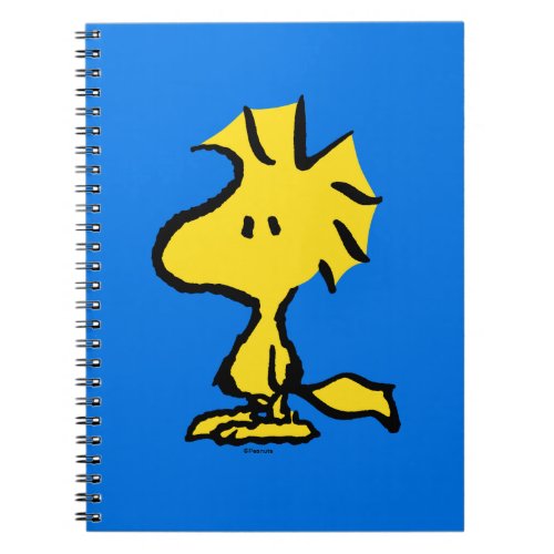 Peanuts  Snoopys Friend Woodstock Notebook