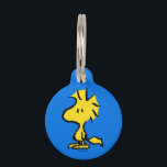 Peanuts | Snoopy's Friend Woodstock Pet ID Tag<br><div class="desc">Snoopy's best friend and sidekick is featured in this cute Peanuts design.</div>