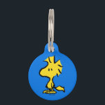 Peanuts | Snoopy's Friend Woodstock Pet ID Tag<br><div class="desc">Snoopy's best friend and sidekick is featured in this cute Peanuts design.</div>