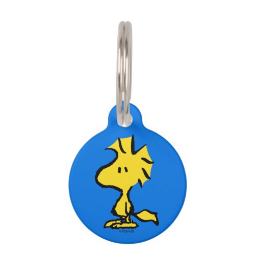 Peanuts  Snoopys Friend Woodstock Pet ID Tag