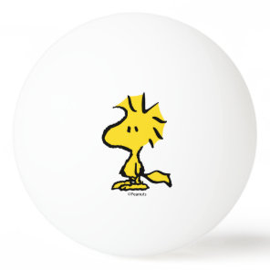 Peanuts | Snoopy's Friend Woodstock Ping Pong Ball