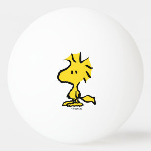 Peanuts   Snoopy's Friend Woodstock Ping Pong Ball