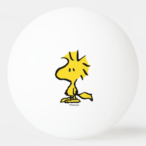 Peanuts  Snoopys Friend Woodstock Ping Pong Ball