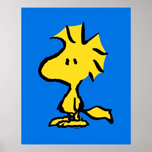 Peanuts  Snoopys Friend Woodstock Poster
