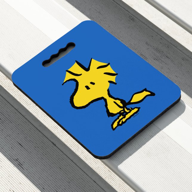 Peanuts | Snoopy's Friend Woodstock Seat Cushion (In Situ)