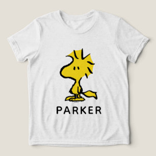 Peanuts Snoopy's Friend Woodstock Tri-Blend Shirt