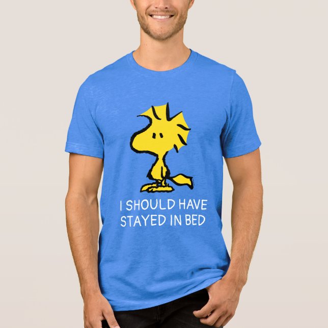 Peanuts | Snoopy's Friend Woodstock Tri-Blend Shirt (Front)
